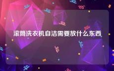 滚筒洗衣机自洁需要放什么东西