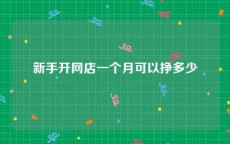 新手开网店一个月可以挣多少