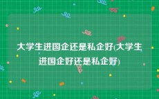 大学生进国企还是私企好(大学生进国企好还是私企好)