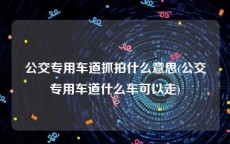 公交专用车道抓拍什么意思(公交专用车道什么车可以走)