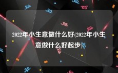 2022年小生意做什么好(2022年小生意做什么好起步)