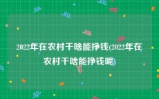 2022年在农村干啥能挣钱(2022年在农村干啥能挣钱呢)
