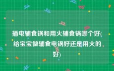 插电辅食锅和用火辅食锅哪个好(给宝宝做辅食电锅好还是用火的好)