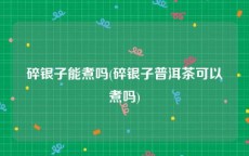 碎银子能煮吗(碎银子普洱茶可以煮吗)