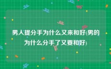 男人提分手为什么又来和好(男的为什么分手了又要和好)