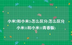 小米2和小米2s怎么区分(怎么区分小米11和小米11青春版)