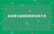 社区微公益创投项目名称大全