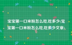 宝宝第一口米粉怎么吃,吃多少(宝宝第一口米粉怎么吃,吃多少文章)