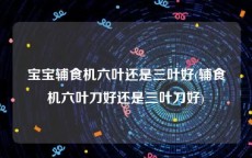 宝宝辅食机六叶还是三叶好(辅食机六叶刀好还是三叶刀好)
