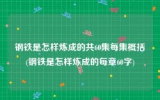 钢铁是怎样炼成的共60集每集概括(钢铁是怎样炼成的每章60字)
