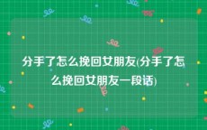 分手了怎么挽回女朋友(分手了怎么挽回女朋友一段话)