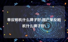 单反相机什么牌子好(国产单反相机什么牌子好)