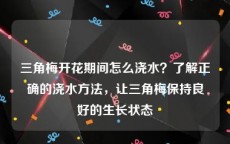 三角梅开花期间怎么浇水？了解正确的浇水方法，让三角梅保持良好的生长状态