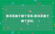 普洱茶属于哪个茶系(普洱茶属于哪个茶区)
