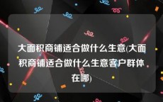 大面积商铺适合做什么生意(大面积商铺适合做什么生意客户群体在哪)