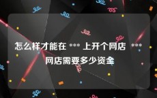 怎么样才能在 *** 上开个网店  *** 网店需要多少资金
