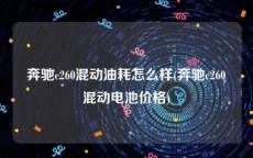 奔驰c260混动油耗怎么样(奔驰c260混动电池价格)