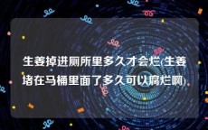 生姜掉进厕所里多久才会烂(生姜堵在马桶里面了多久可以腐烂啊)