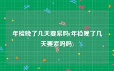 年检晚了几天要紧吗(年检晚了几天要紧吗吗)