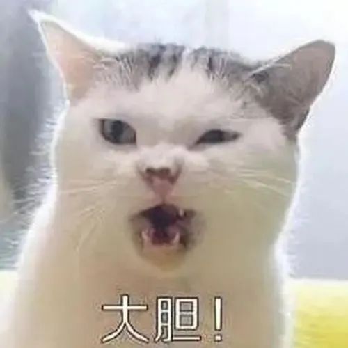专柜的GUCCI包还能有假?狸猫换太子,假货进专柜正品被“贱卖”
