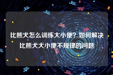 比熊犬怎么训练大小便？如何解决比熊犬大小便不规律的问题