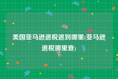 美国亚马逊退税退到哪里(亚马逊退税哪里查)