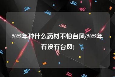 2022年种什么药材不怕台风(2022年有没有台风)