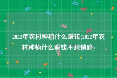 2022年农村种植什么赚钱(2022年农村种植什么赚钱不愁销路)