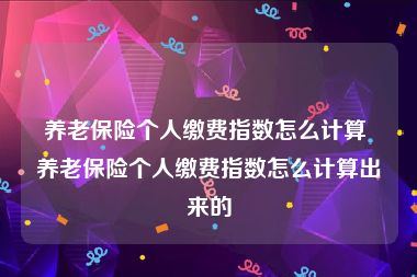 养老保险个人缴费指数怎么计算 养老保险个人缴费指数怎么计算出来的