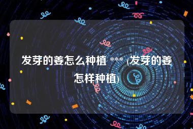 发芽的姜怎么种植 *** (发芽的姜怎样种植)
