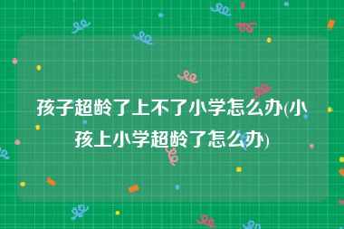 孩子超龄了上不了小学怎么办(小孩上小学超龄了怎么办)