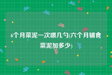 6个月菜泥一次喂几勺(六个月辅食菜泥加多少)