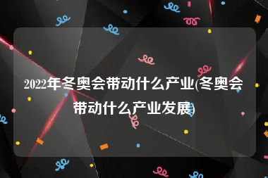 2022年冬奥会带动什么产业(冬奥会带动什么产业发展)