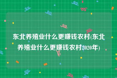 东北养殖业什么更赚钱农村(东北养殖业什么更赚钱农村2020年)