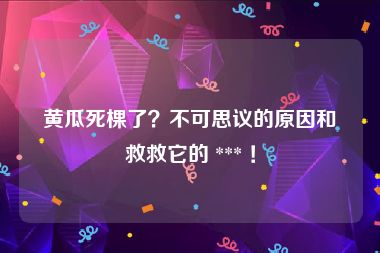 黄瓜死棵了？不可思议的原因和救救它的 *** ！