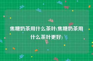 焦糖奶茶用什么茶叶(焦糖奶茶用什么茶叶更好)