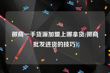 微商一手货源加盟上哪拿货(微商批发进货的技巧)