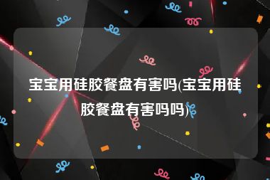 宝宝用硅胶餐盘有害吗(宝宝用硅胶餐盘有害吗吗)