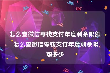 怎么查微信零钱支付年度剩余限额 怎么查微信零钱支付年度剩余限额多少