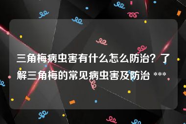 三角梅病虫害有什么怎么防治？了解三角梅的常见病虫害及防治 *** 