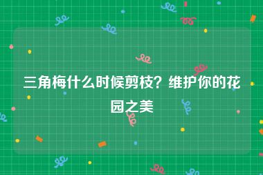 三角梅什么时候剪枝？维护你的花园之美