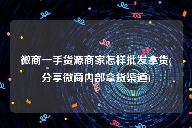 微商一手货源商家怎样批发拿货(分享微商内部拿货渠道)