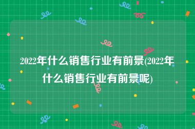 2022年什么销售行业有前景(2022年什么销售行业有前景呢)