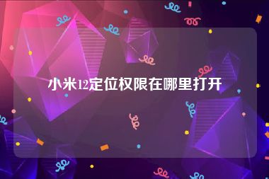 小米12定位权限在哪里打开