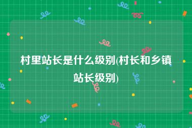 村里站长是什么级别(村长和乡镇站长级别)