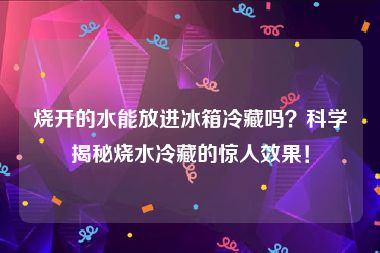 烧开的水能放进冰箱冷藏吗？科学揭秘烧水冷藏的惊人效果！