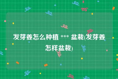 发芽姜怎么种植 *** 盆栽(发芽姜怎样盆栽)