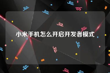 小米手机怎么开启开发者模式