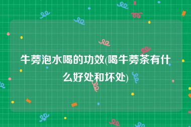 牛蒡泡水喝的功效(喝牛蒡茶有什么好处和坏处)