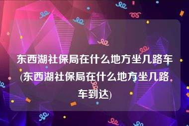 东西湖社保局在什么地方坐几路车(东西湖社保局在什么地方坐几路车到达)